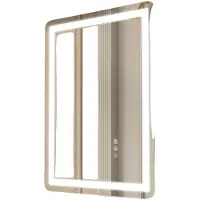 Vevor LED badkamerspiegel cosmetische spiegel (50 x 70 cm) met voor- en achterverlichting
