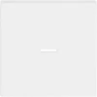 Busch-Jaeger Schakelelement/Centrale Plaat - 2CKA001751A3153