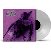 Bertus Distributie Brave Murder Day