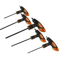Kendo Set van vijf zeshoekige sleutels met -handgreep (maten 3 tot 8 mm)