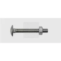 Swg 22654067 Platbolkopschroef 5 mm 40 mm Buitenzeskant DIN 603 RVS A2 50 stuk(s)