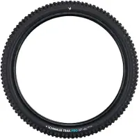 Schwalbe Albert Gravity Pro Soft, radiale tubeless band, 2026, 29 inch, 2.60, mountainbike, kleur zilver. 29 inch x 2.60, kleur zilver. 29 inch x 2.60