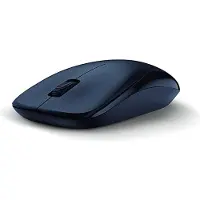 Genius NX-7000 / Kantoormuis / Optische muis / 1200 DPI / Draadloos (USB) / Zwart
