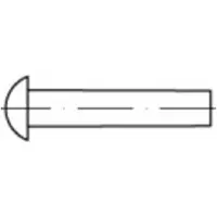 Toolcraft 112192 Halfronde klinknagel (Ø x l) 6 mm x 25 mm Staal 250 stuk(s)