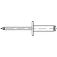 Toolcraft 160082 Open popnagel (Ø x l) 5 mm x 12 mm Aluminium Staal 500 stuk(s)