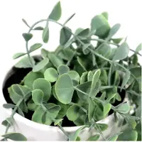 Hjh OFFICE Kunstplant EUCALYPTUS CLIMB groen / wit