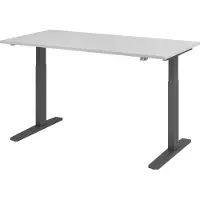 Hjh OFFICE PRO XMKA 16 G - Grijs 160 x 80 Tafelhoogte I Elektrisch in hoogte verstelbaar