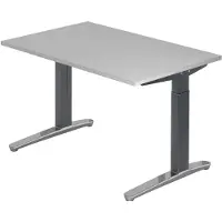 Hjh OFFICE PRO XTRA XB 12 GC - Grijs 120x80 Tafelhoogte I In hoogte verstelbaar