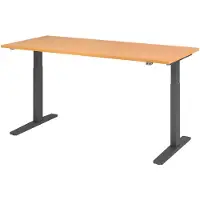 Hjh OFFICE PRO XMKA 19 G - Beuken 180 x 80 Tafelhoogte I Elektrisch in hoogte verstelbaar