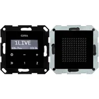 Gira Inbouwradio, RDS, zwart glazen design (228005)