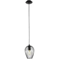 Eglo Hanglamp Newtown Zwart E27