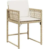 vidaXL 9-delige Tuinset met kussens poly rattan beige