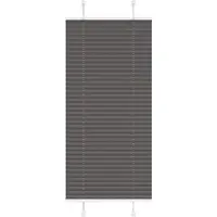 vidaXL Plissé rolgordijn 55x100 cm stofbreedte 54,4 cm polyester zwart