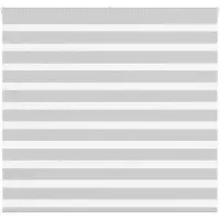 vidaXL Dubbele rolgordijn, lichtgrijs, 165x100 cm, stofbreedte 160,9 cm, polyester