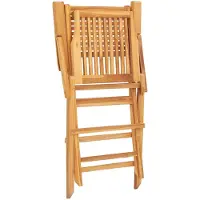 vidaXL Opklapbare stoelen, 8 stuks, 55x62x90 cm, massief teakhout