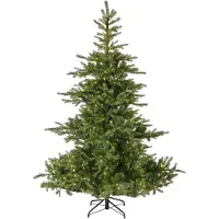 Everlands Grandis bm fr prlt d172h270cm grn/wwt