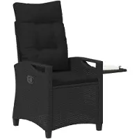 vidaXL Ligstoel voor Tuin Zwart 56 x 60 x 112 cm poly rattan