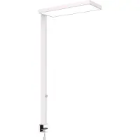 MAUL MAULjura 8257202 LED-opbouwlamp LED Wit