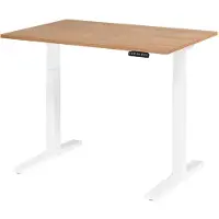 Hjh OFFICE PRO XMKA 12 W | 120x80 | elektrisch in hoogte verstelbaar - 120x80 Walnoot Tafelhoogte I Elektrisch in hoogte verstelbaar