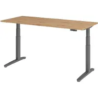 Hammerbacher XBHM 19 GG Essen-Eik