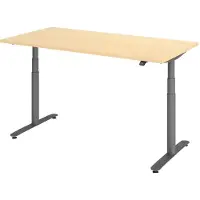 Hammerbacher Bureau XDLR elektrisch in hoogte verstelbaar 160 x 80 Esdoorn - Grafiet