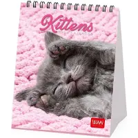 Legami – Bureaukalender 2027, Katjes, 12 maanden, 5 cm