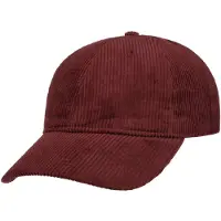Lipodo Uni Classic Corduroy Pet by