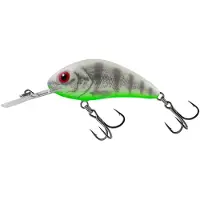 Salmo Rattlin Hornet 6.5cm Floating Holo Red Perch