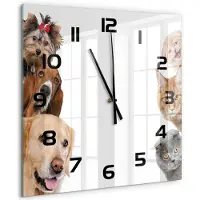 Tulup Wandklok - Honden en katten Moderne Wandklok Glas - 60x60 cm - Beige Wandklok Glas Decoratie - Zwarte handen - Vierkante Klok - Glazen Wandklok Design - Klok Glas Met Opdruk