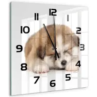Tulup Wandklok - Akita-puppy Wandklok Glas Met Motief - 60x60 cm - Oranje Decoratieve Glazen Klok - Zwarte handen - Vierkante Klok - Gekleurde Glazen Klok - Glazen Klok Met Print