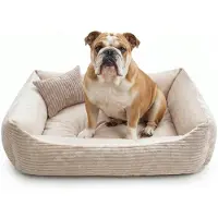 4L Textil Molly behaaglijk corduroy hondenbed, hondenmand, middelgrote honden, hondenkussen, wollige hondenmand, beige (100 x 80 cm, beige)