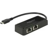 DeLOCK USB3.1 netwerkkaart type-C - 2x RJ45, 27cm (USB 3.1 Gen 1, RJ45 Gigabit Ethernet (2x)), Netwerkadapter, Zwart