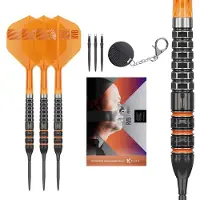 Target Raymond van Barneveld 95K Swiss Point 95% - Dartpijlen