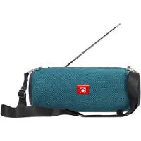 Gembird Draagbare BT speaker Petrol + FM Radio
