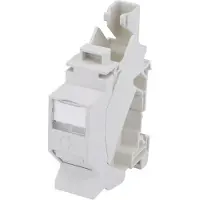 Telegärtner 100023003 Netwerkdoos DIN-rails CAT 6A Lichtgrijs