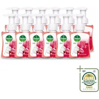 Dettol 12 x - Foam Handzeep - Rozen & Kersenbloesem - Zacht Mouse - 250 ml - Wasstrips - Handzeep - Schuimhandzeep - Antibacterieel Handzeep - Zachte Handzeep - Handzeep Rozen En Kersenbloesem