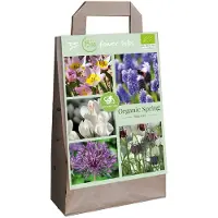 JUB Tas Organic Spring Bee Mix bloembol 35 stuks