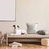Eurofirany Decoratieve Kussenhoes 45x45 cm - Wit Grijs Gestreept Velours