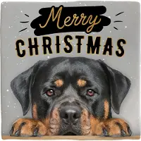 Intratuin Decoratietegel Kerst Rottweiler 10,5 X 10,5 Cm