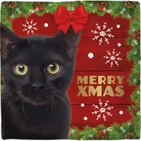 Intratuin Decoratietegel Kerst Kat Zwart 10,5 X 10,5 Cm
