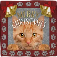 Intratuin Decoratietegel Kerst Kat Rood 10,5 X 10,5 Cm