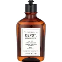 Depot Haircare No.102 Anti-Dandruff & Sebum Control Shampoo - 250ml | Voor Vet Haar