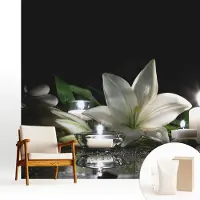 Wallfluent Fotobehang - Zwart Vliesbehang - 250x250 cm - Ontspannende Scène Muurschildering - Slaapkamer behang Bloemen En Planten - Fotobehang Vlies - Slaapkamer behang
