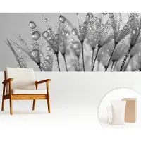 Wallfluent Fotobehang - Wit Vliesbehang - 250x104 cm - Natte Delicatesse Muurschildering - Gang behang Bloemen En Planten - Fotobehang Vlies - Slaapkamer behang