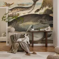 Coloray Vliesbehang - Wit Snellijm Behang - 208x146 cm - Zeereuzen Muurschildering - Slaapkamer behang Dieren - Fotobehang Vlies - Slaapkamer behang
