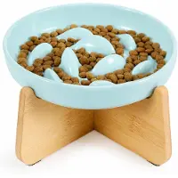 VHV Katten Voerbak - Bak Katten - Kattenvoer- & Drinkbakken - keramische anti - voerbakken voor langzaam voeren voor katten en honden met opstaande randen - Voor Voer En Water -Groente