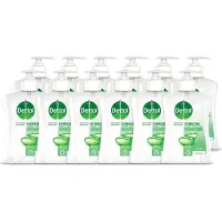 Dettol 12 x – Antibacteriële Handzeep – Aloë Vera – 250 ml - Voordeelverpakking - 12 stuks