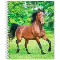 BrownTrout Paarden Agenda 2027
