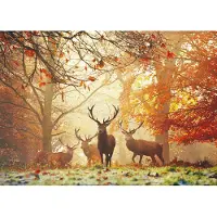 Heye Puzzle 29805 - Puzzel Stags - 1000 stukjes - Magic Forest