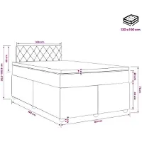 vidaXL Boxspringbed met matras, zwart, 120 x 190 cm, fluweel